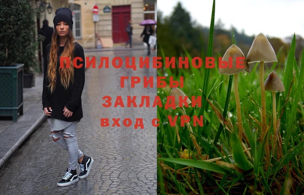 гидра Иннополис