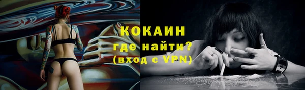 дурь Инсар