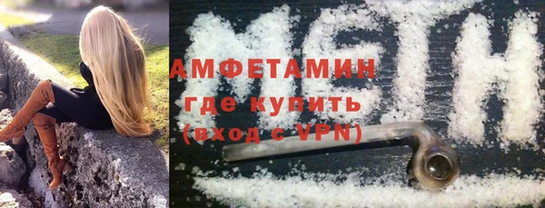 дурь Инсар