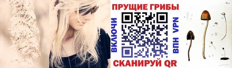 Галлюциногенные грибы мухоморы MEGA ССЫЛКА Колпашево
